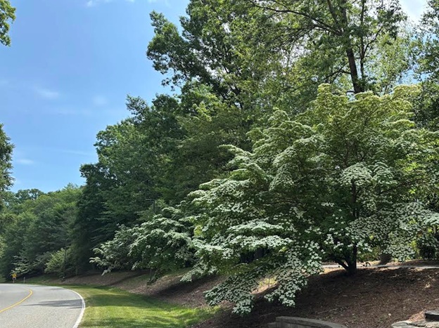 Living Among the Trees: Virginia's First Accredited Retirement Community Arboretum Living Among the Trees: Virginia's First Accredited Retirement Community Arboretum